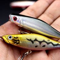 Image result for Minnow Bait Lure