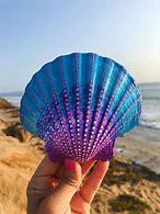 Image result for Paint Sea Shell Ideas