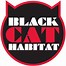 Image result for Black and White Cat Head