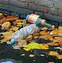 Image result for Floating Plastic Debris