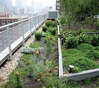 Image result for Green Roof Garden