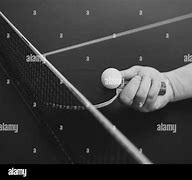 Image result for Stop Tennis Ball with Racket