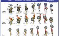 Image result for MMA Workout Routine