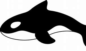 Image result for Killer Whale Titan Meme