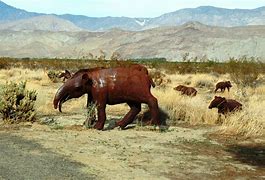 Image result for California Tapir