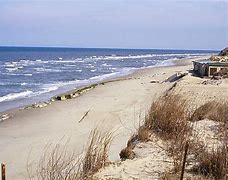 Image result for Coastal Plain Virginia