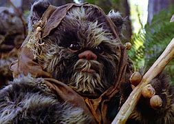 Image result for Ewok Show