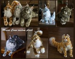 Image result for Maine Coon Cat Plush