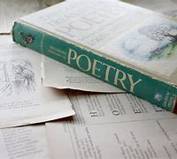 Image result for Good Poetry Books