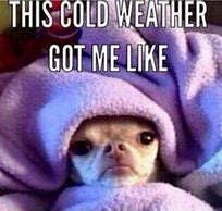 Image result for Cold Weather and Chili Meme