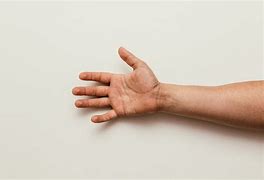 Image result for A Human Hand