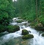 Image result for 1080P Wallpaper River