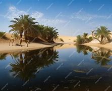 Image result for Oasis Desert Town