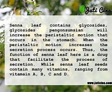 Image result for senna leaf benefits