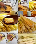 Image result for Ciri-Ciri Pokok Jagung