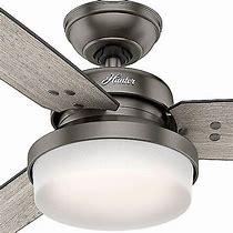 Image result for Hunter Ceiling Fans without Lights