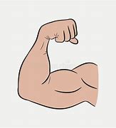 Image result for Muscle Clip Art Free