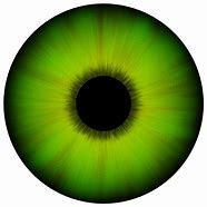 Image result for Green Eye Texture