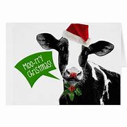 Image result for Funny Christmas Cows