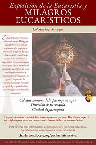 Image result for Eucharistic Miracles Book