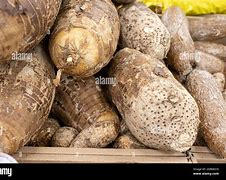 Image result for Coco Yam in Twi