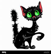 Image result for Scruffy Black Cat