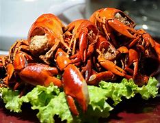 Image result for Makanan Udang