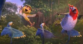 Image result for Bat Rio 2