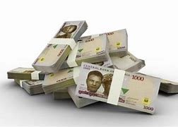 Image result for Flying Naira PNG