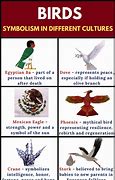 Image result for Predation of Birds Symbol