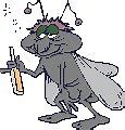 Image result for Drunk Fly