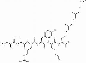 Image result for Cysteinyl