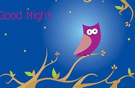 Image result for Night Owl Graphics