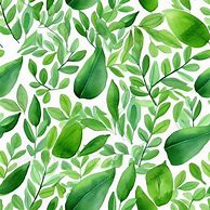 Image result for Green Leaves Pattern