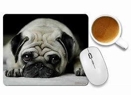 Image result for Pug Man KB