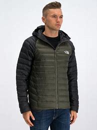 Image result for Geaca North Face Barbati