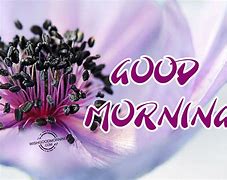 Image result for Good Morning Get Going