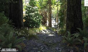 Image result for Forrest Core Path