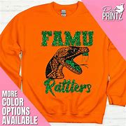 Image result for FAMU Sweatshirt