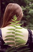 Image result for My Back Is Covered