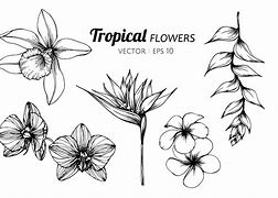 Image result for Dried Flower Art