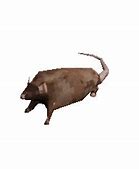 Image result for Horizontally Spinning Rat