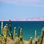 Image result for La Paz Baja