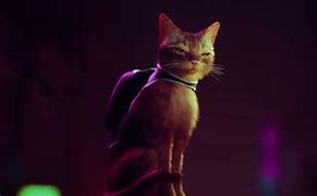 Image result for Cat and PS5 Box