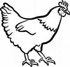 Image result for Hen House Drawing Easy