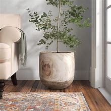 Image result for Unique Indoor Plant Pots