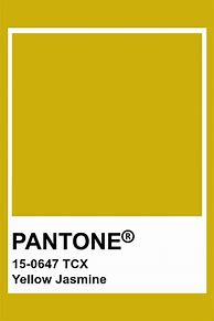 Image result for Olive Green Pantone Ref