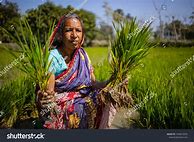 Image result for Bangladeshi Farmer Clothing