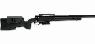 Image result for FN Gun Riffle