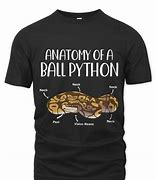 Image result for Python Anatomy